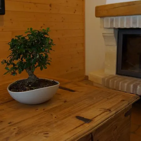 W & S Executive - Ii *