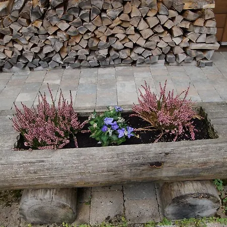 W & S Executive - Ii هالشتات