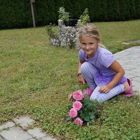 W & S Executive - Ii