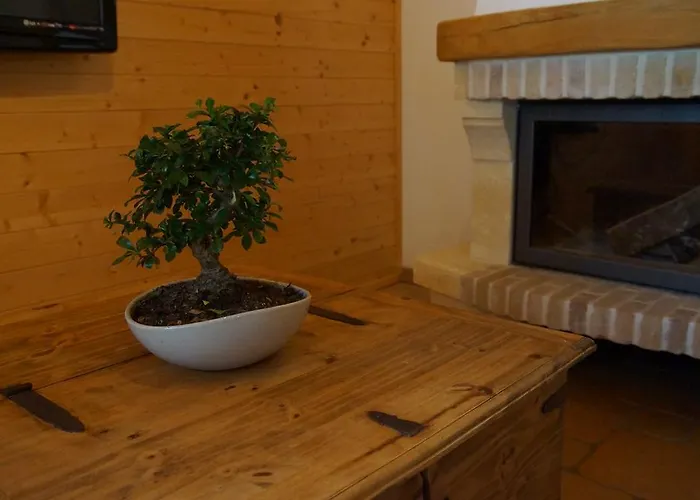 W & S Executive - Ii *