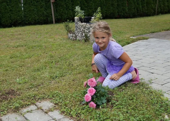 W & S Executive - Ii