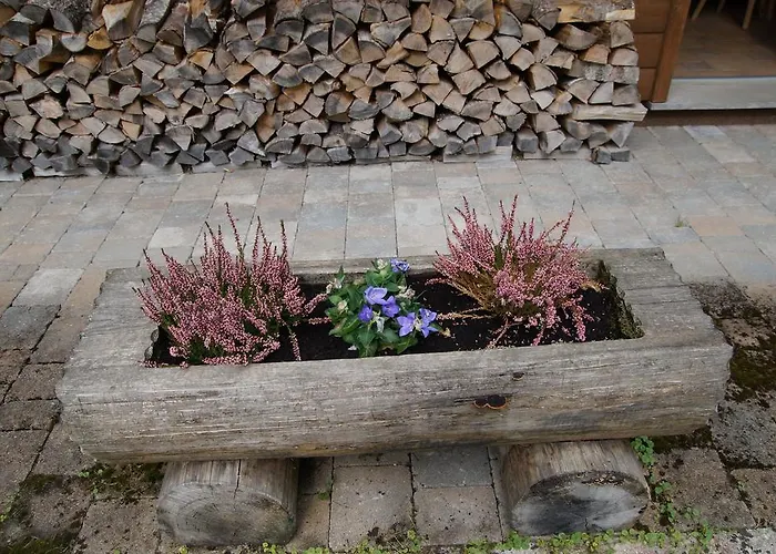 W & S Executive - Ii Χάλστατ